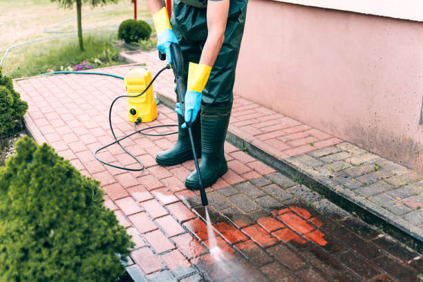 Best Roof Washing  in Byron, GA